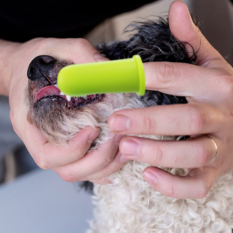 Keeping Fido's Smile Bright: A Deep Dive into the Ultra Soft Silicone Finger Toothbrush for Dogs