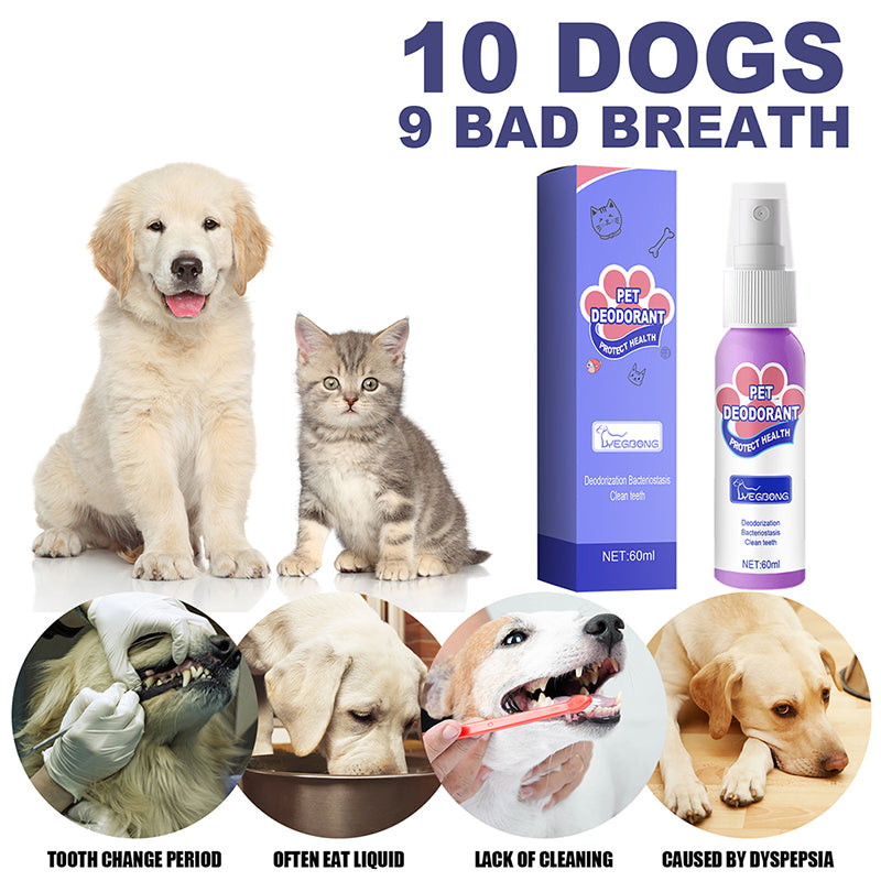60ml Pet Oral Cleanse Spray Dogs Cats Teeth Clean Deodorant Prevent Calculus Remove Kitten Bad Breath Pet Supplies