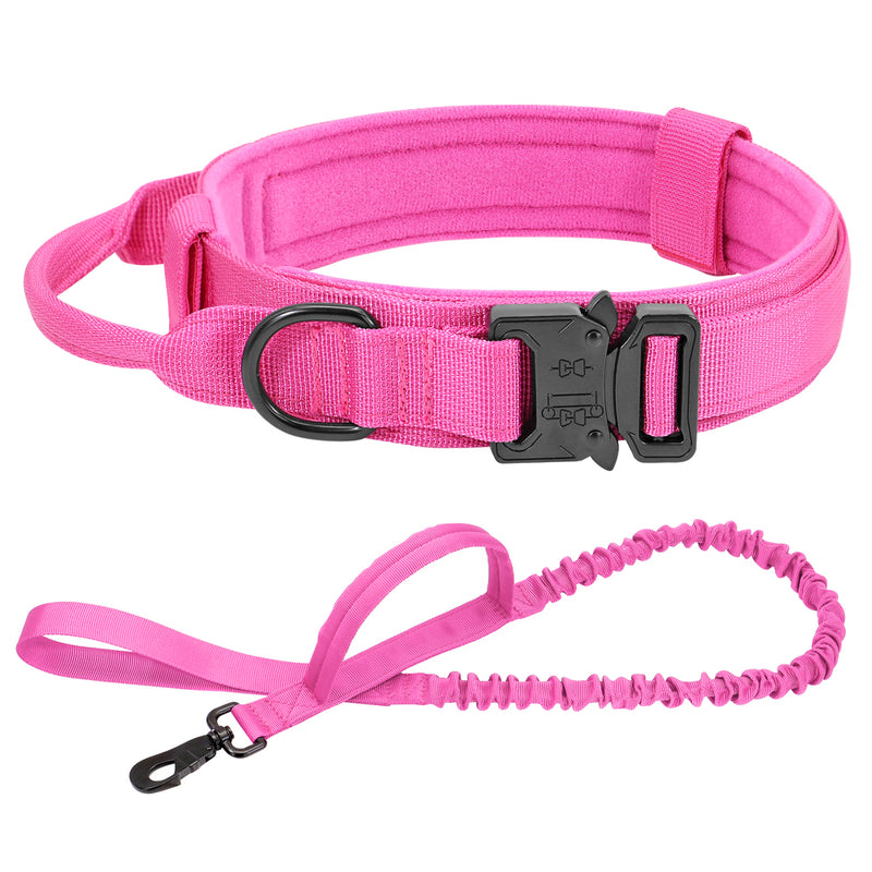 Ultimate Military-Inspired Dog Collar and Leash Combo for Training and Walks